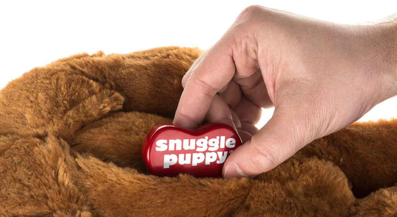 Comfort for Your Best Friend