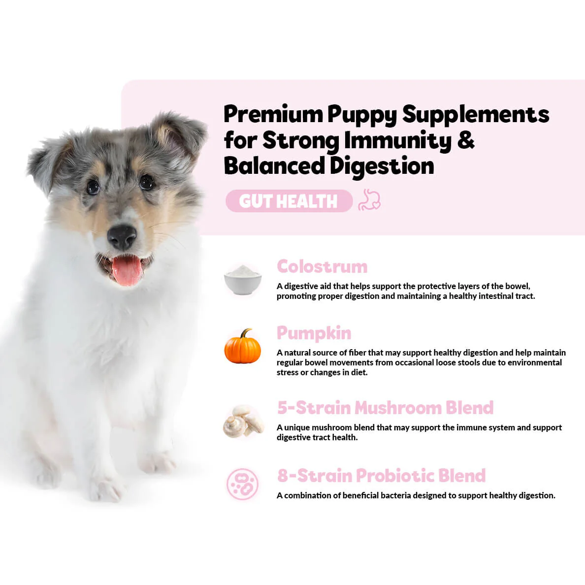 GrowPro Puppy Bundle - Image 9