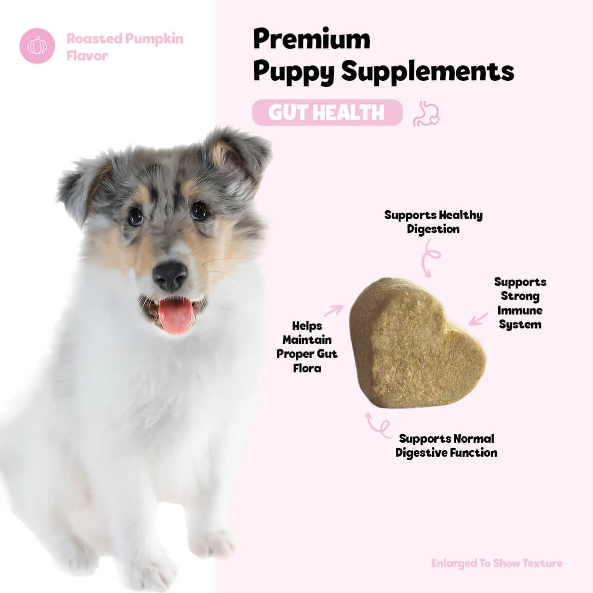 Puppy Bites Gut Health Supplement - Image 5