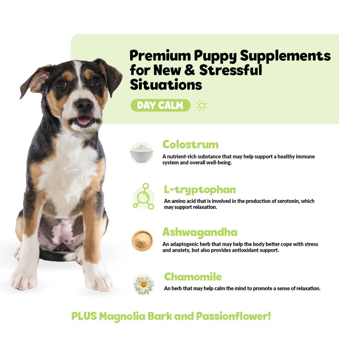 Puppy Calming Kit - Image 5