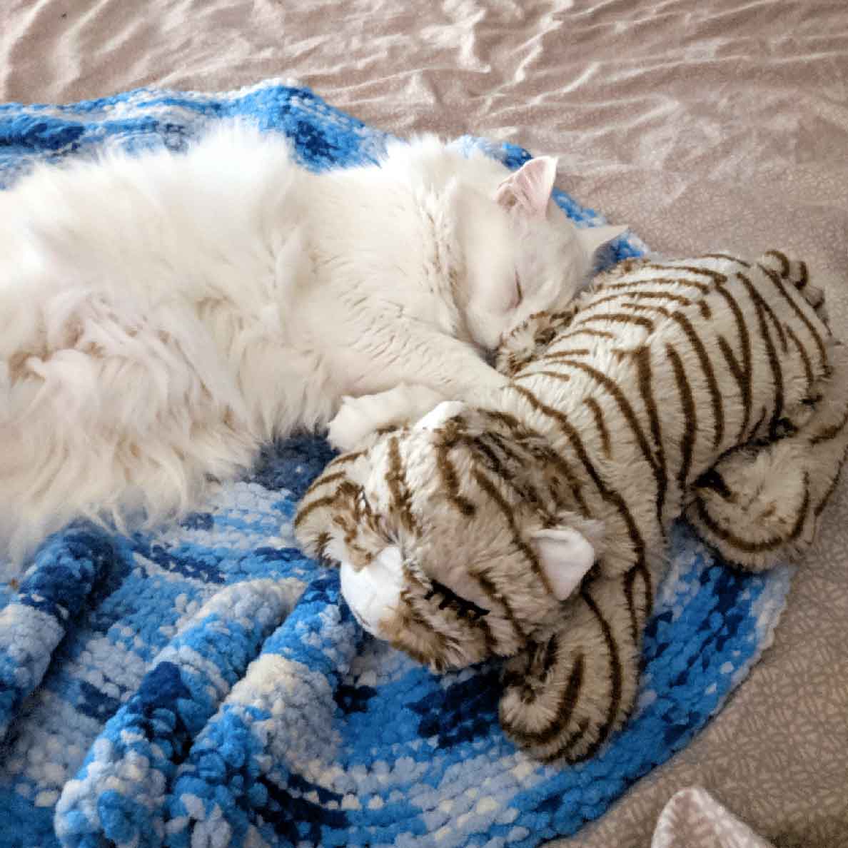 Snuggle Kitty - Image 5