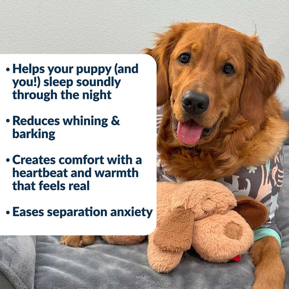Snuggle Puppy® - Image 3