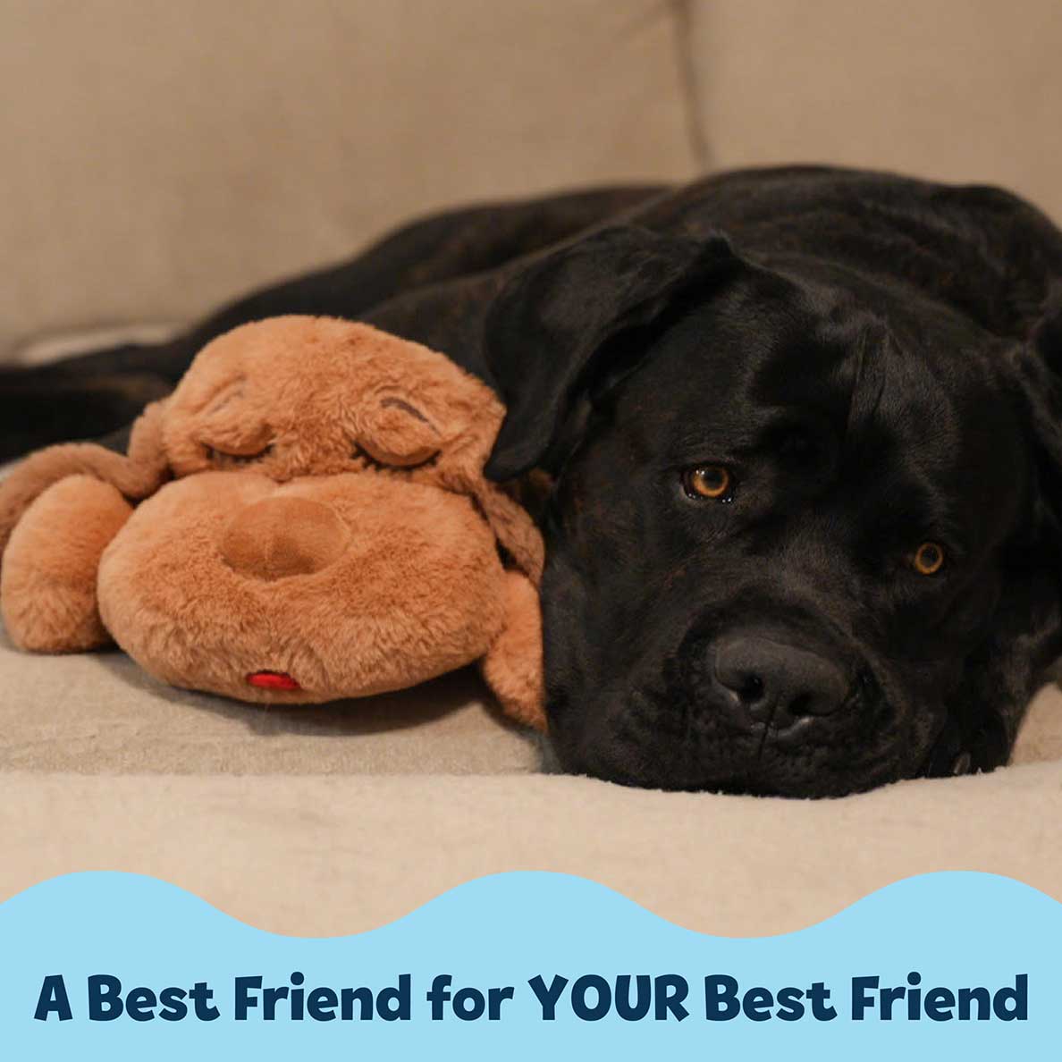 Snuggle Puppy® - Image 5