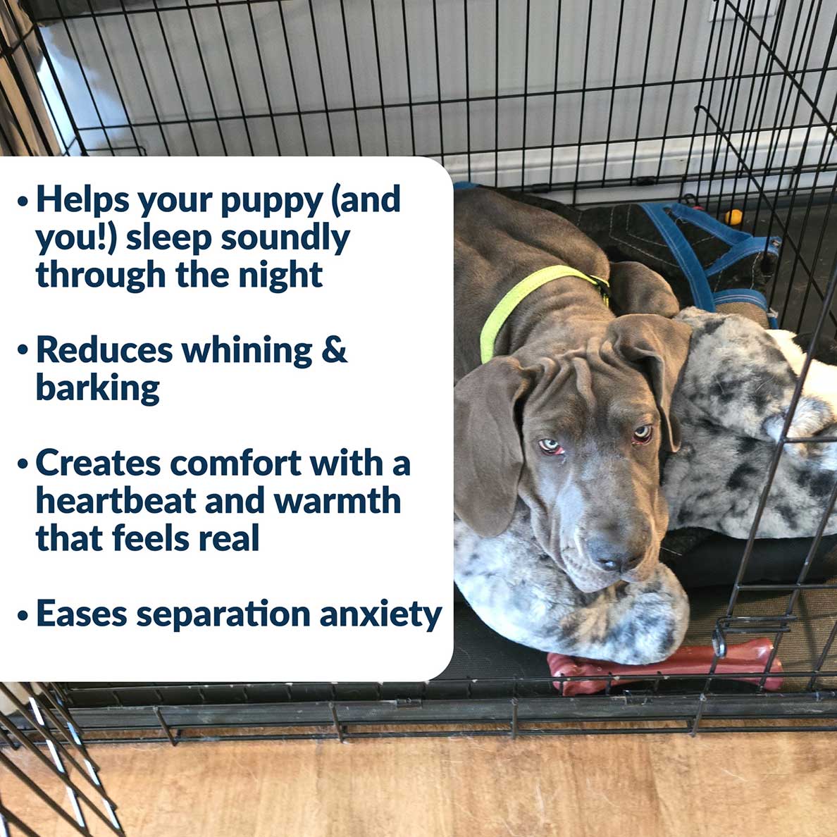 Snuggle Puppy® - Image 3