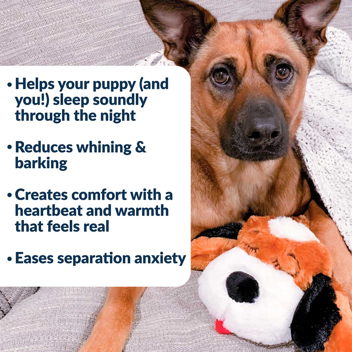 Snuggle Puppy® - Image 3