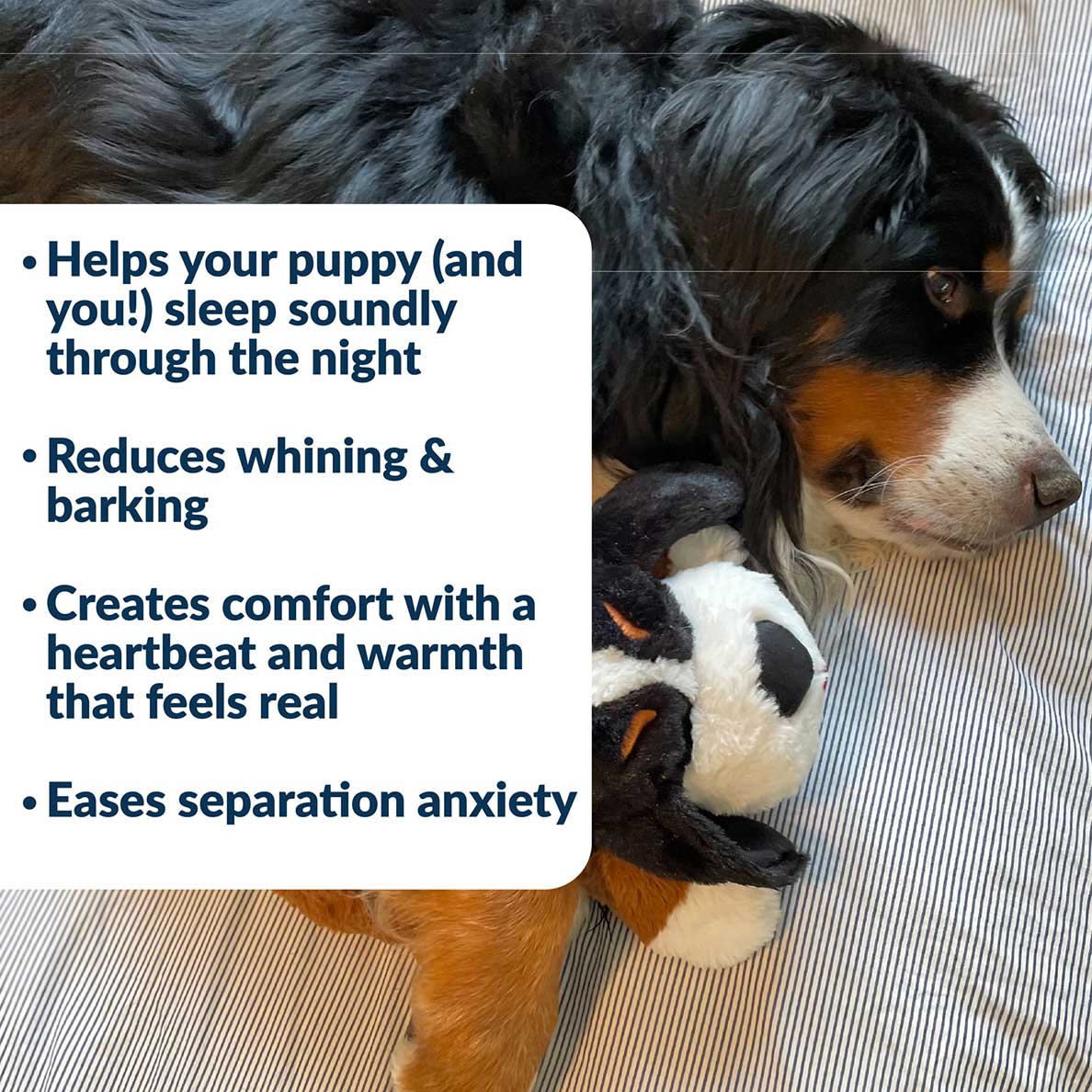 Snuggle Puppy® - Image 3