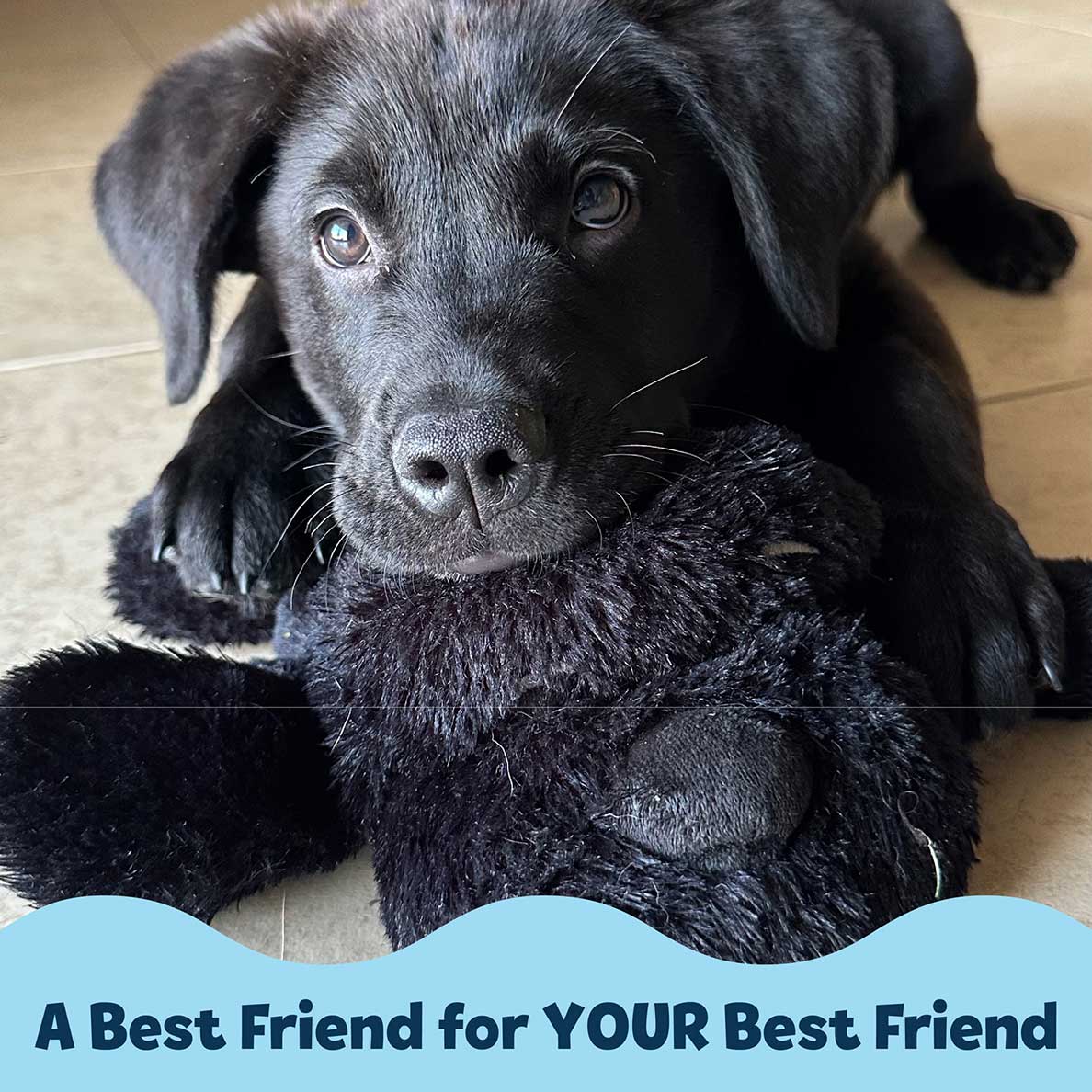 Snuggle Puppy® - Image 5