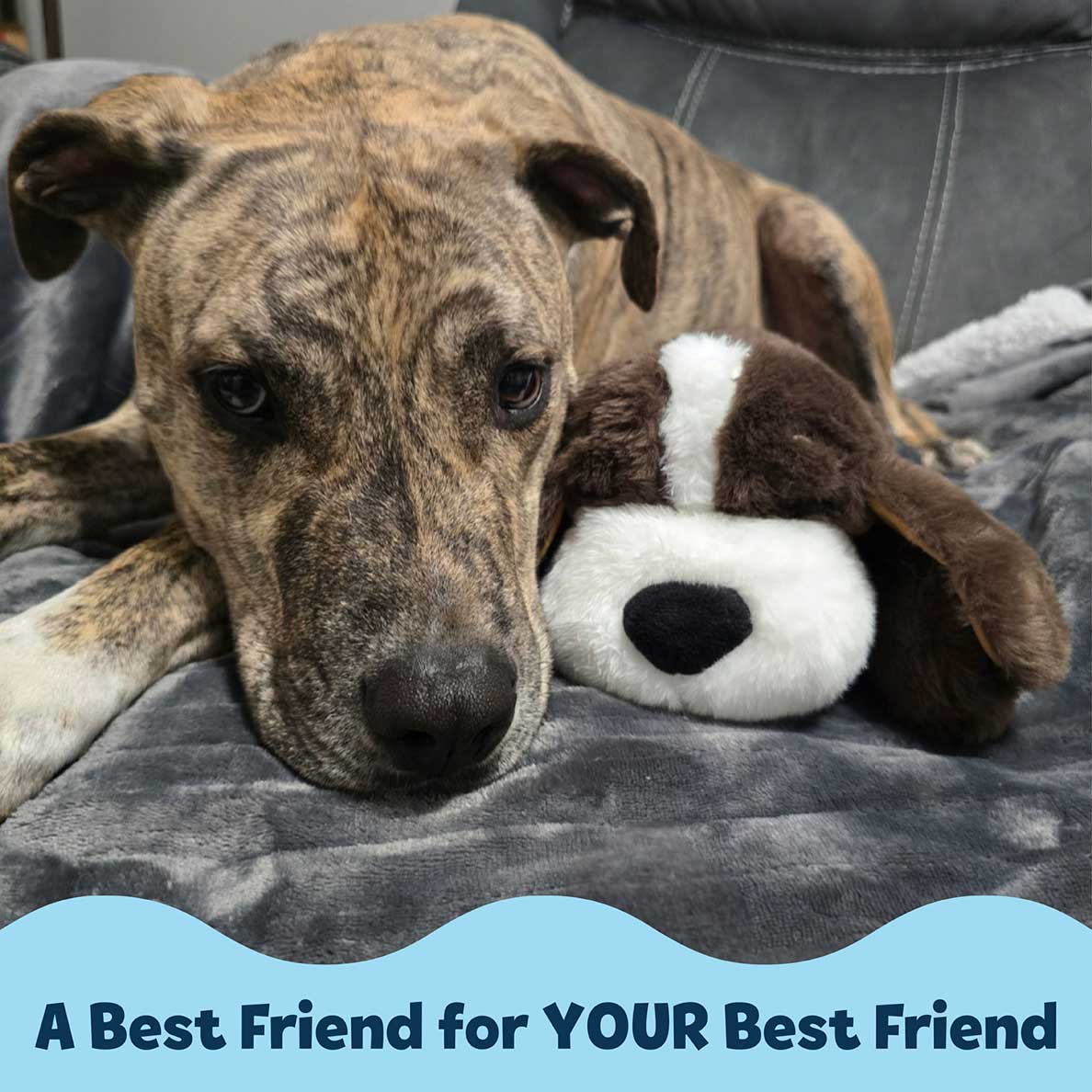 Snuggle Puppy® - Image 5