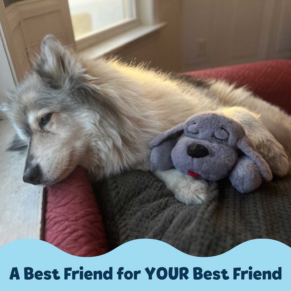 Snuggle Puppy® - Image 5