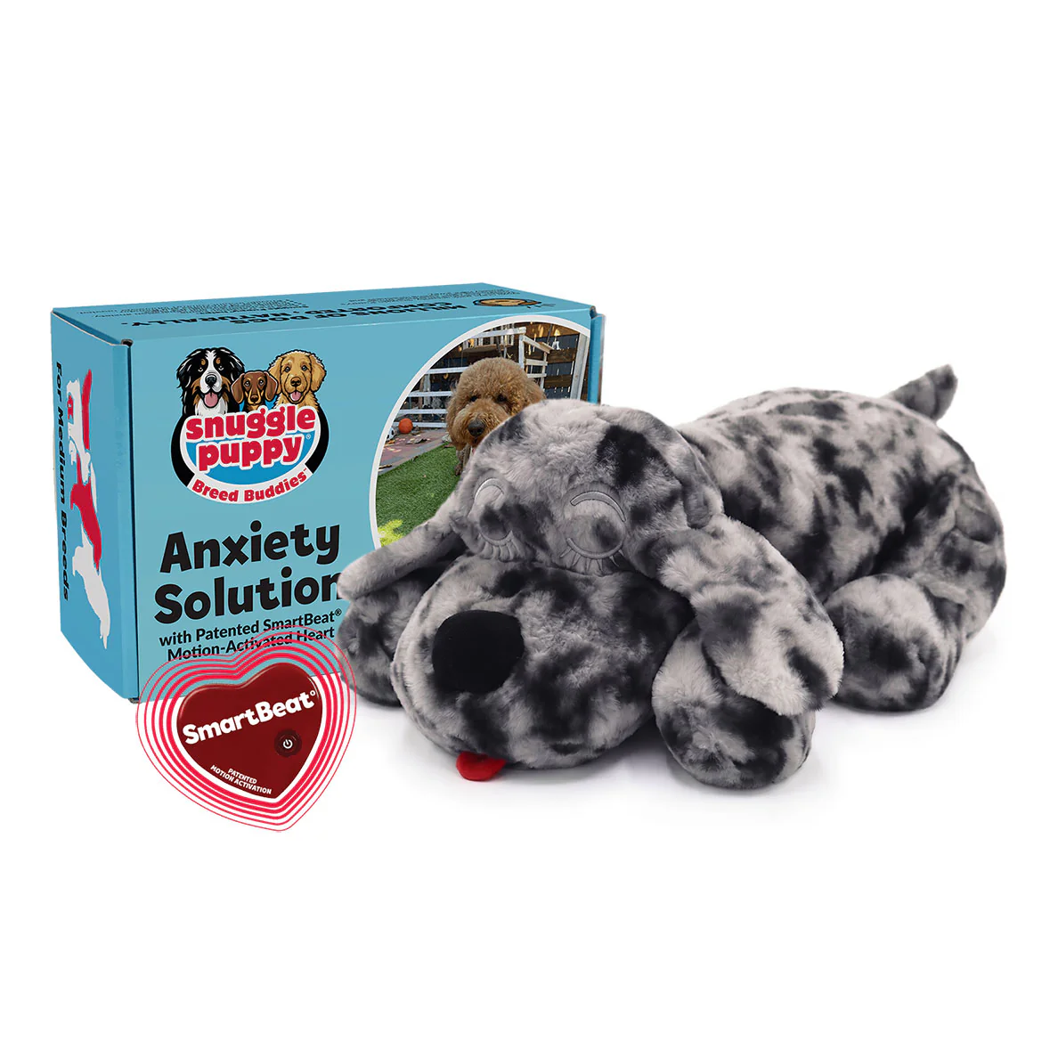 Essential Supplies for New Puppies