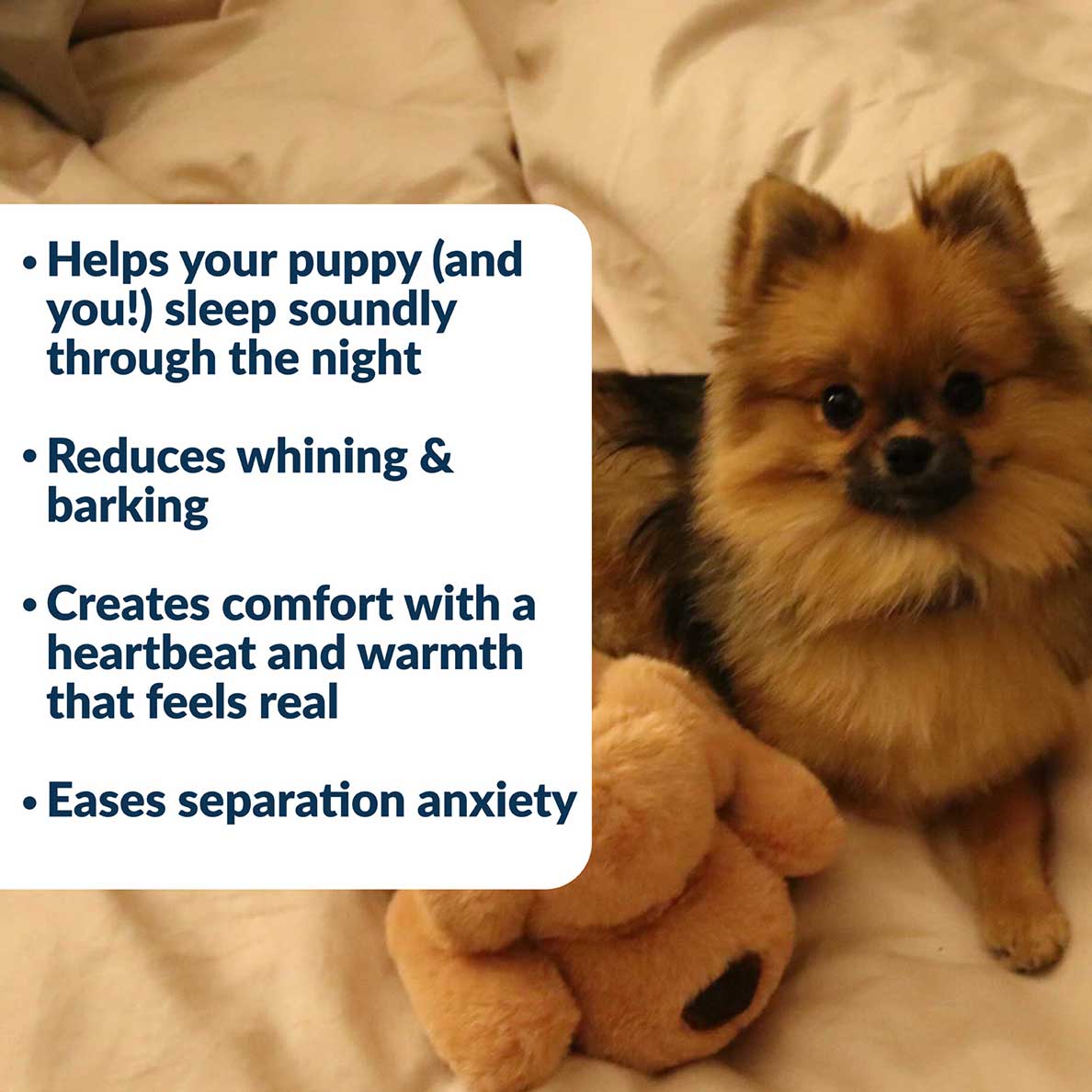 Snuggle Puppy® - Image 3