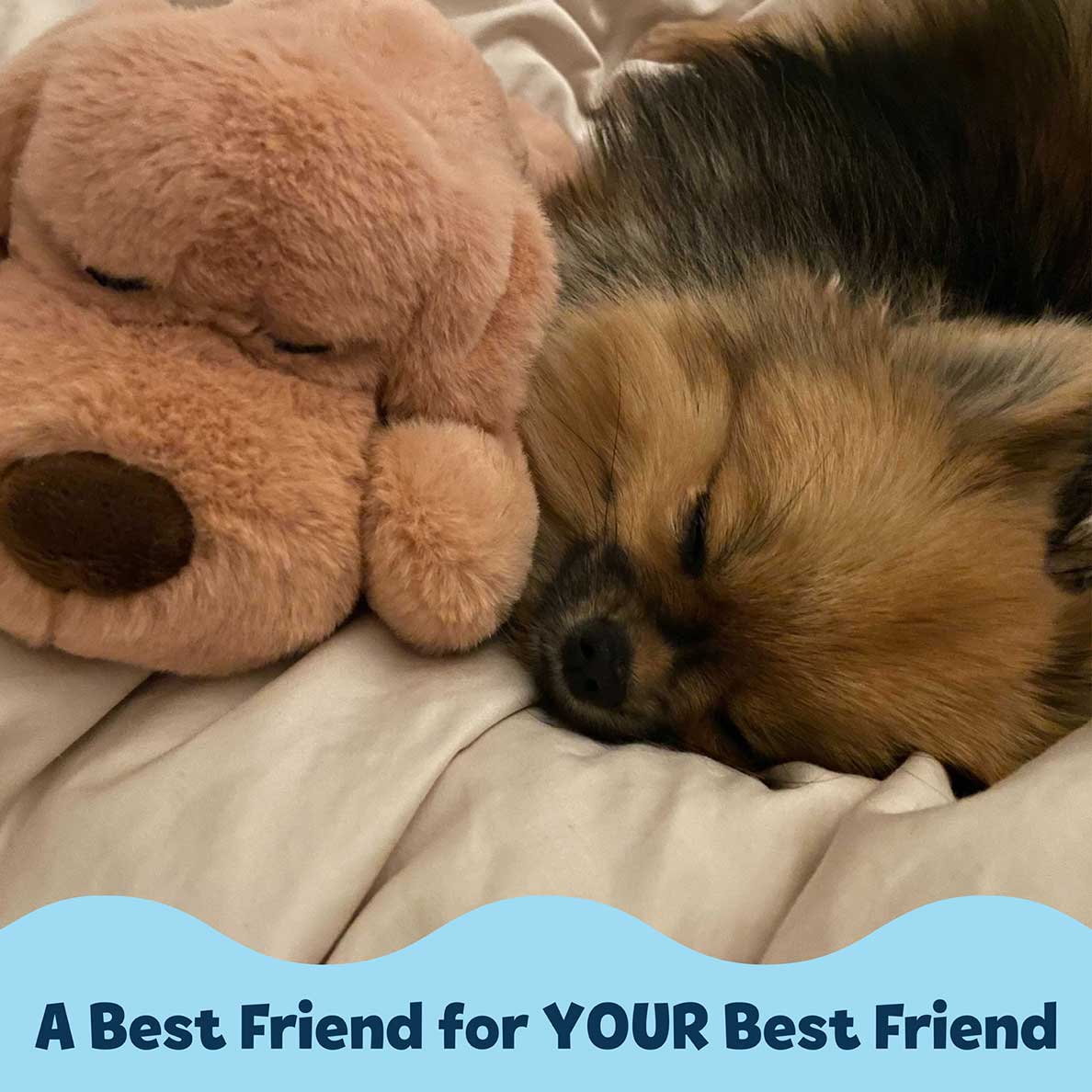 Snuggle Puppy® - Image 5