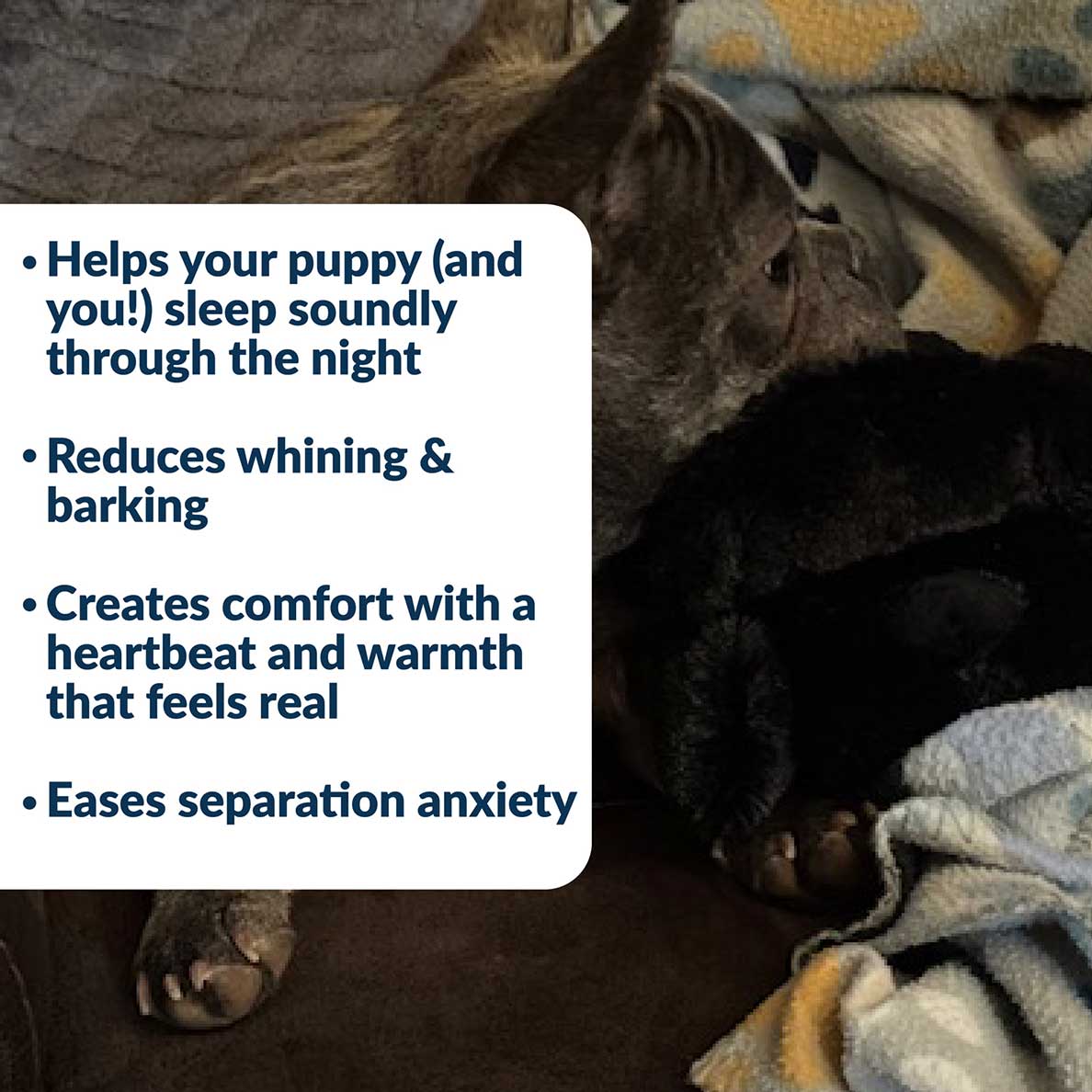 Snuggle Puppy® - Image 3