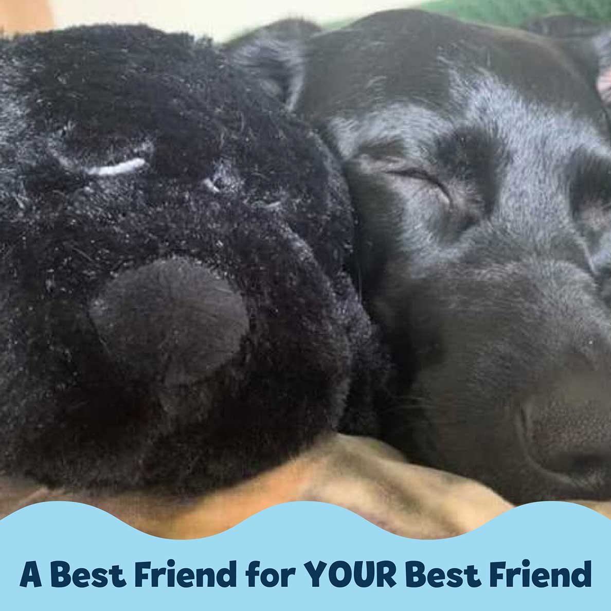 Snuggle Puppy® - Image 5