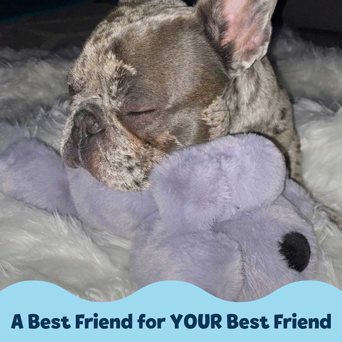 Snuggle Puppy® - Image 5