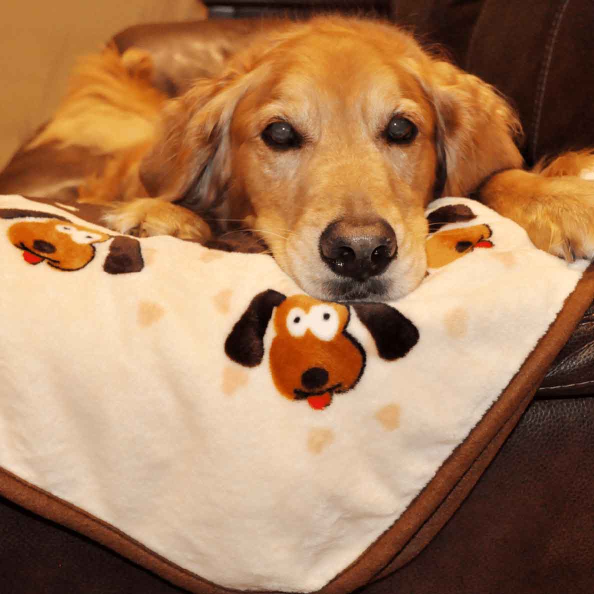 Snuggle Blanket For Pets - Image 7