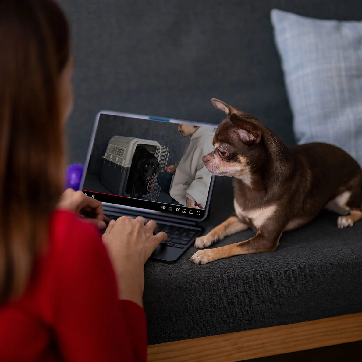 Snuggle Puppy Virtual Training - Image 2