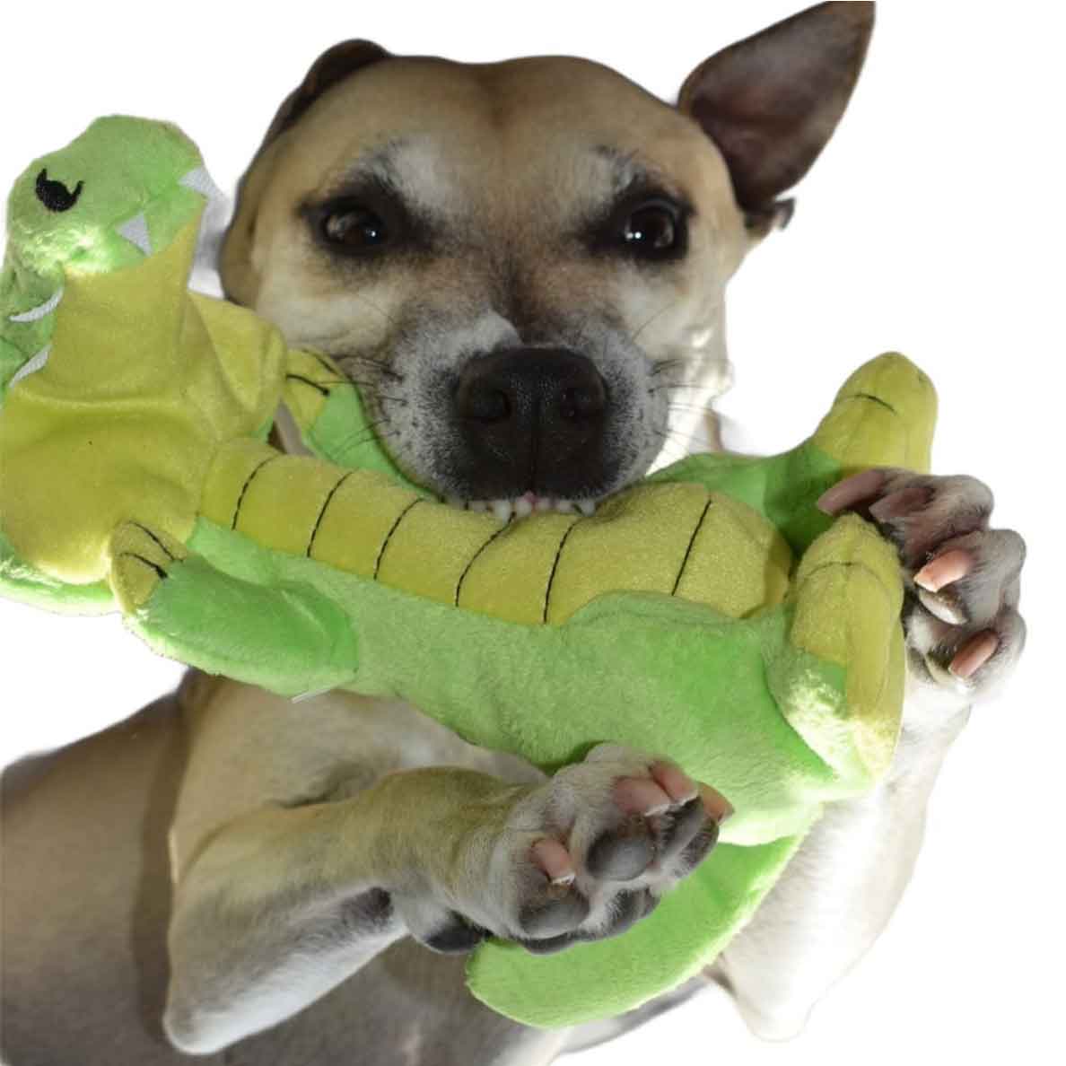 Standing Croc - Image 5