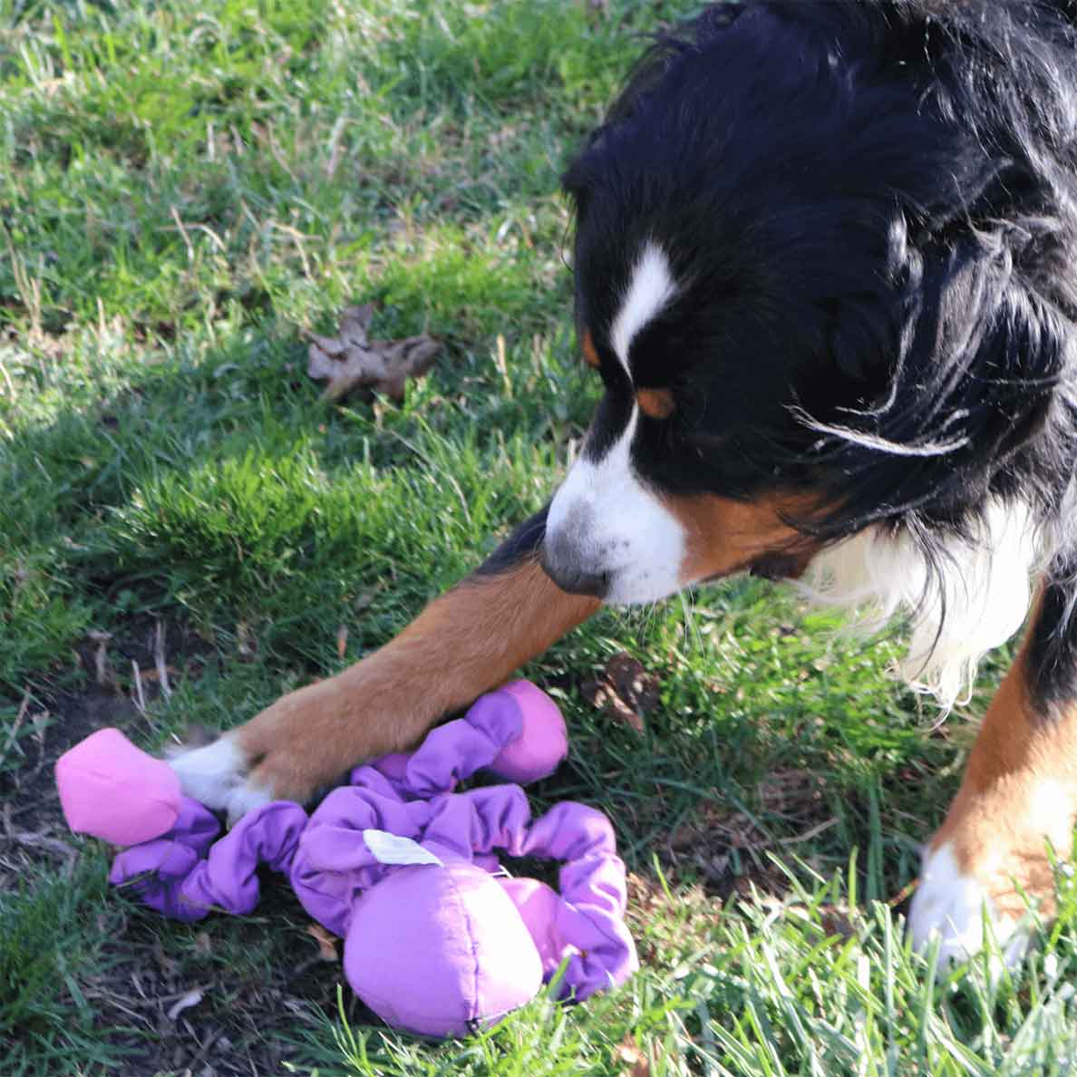Stretchy Purple Octopus - Image 3