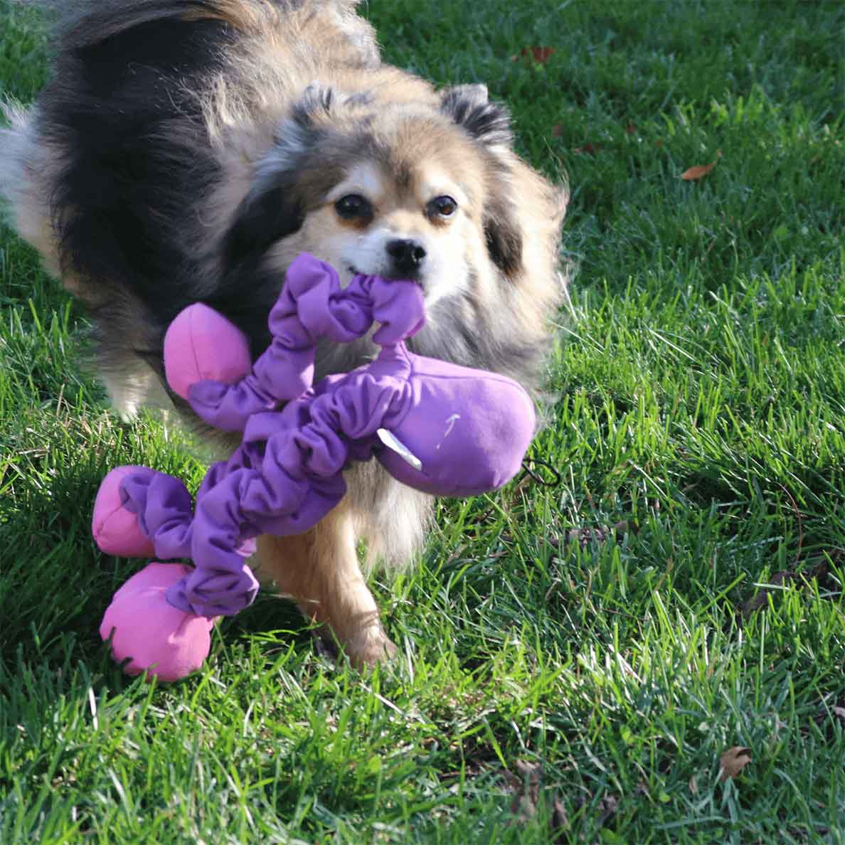 Stretchy Purple Octopus - Image 5